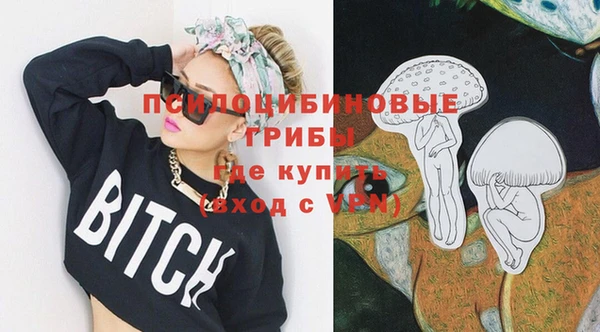 гидра Алексин