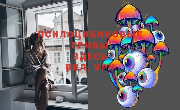 молекула духа Алексеевка