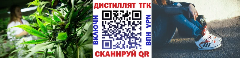 что такое   Коряжма  ОМГ ОМГ tor  ТГК Wax 