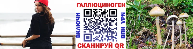 купить наркоту  Коряжма  MEGA зеркало  Псилоцибиновые грибы прущие грибы 