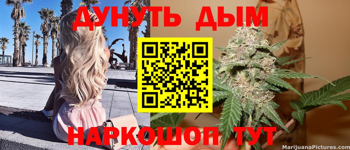 Конопля план Коряжма